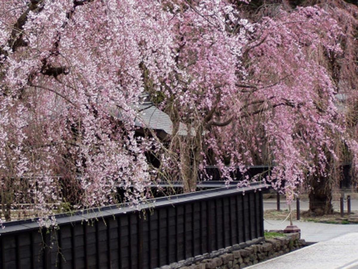 Tamachi Bukeyashiki Hotel - Vacation Stay 20163V Daisen  Exterior foto
